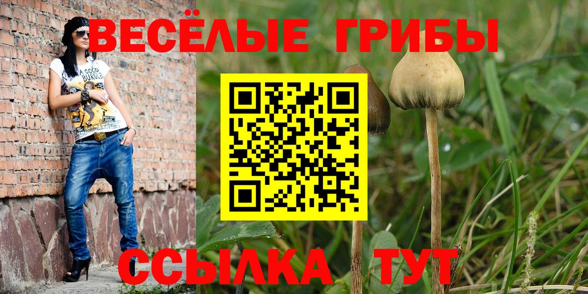 Гашиш  Железногорск  КОКАИН  Экстази  Мефедрон   Вход с VPN  Конопля 
